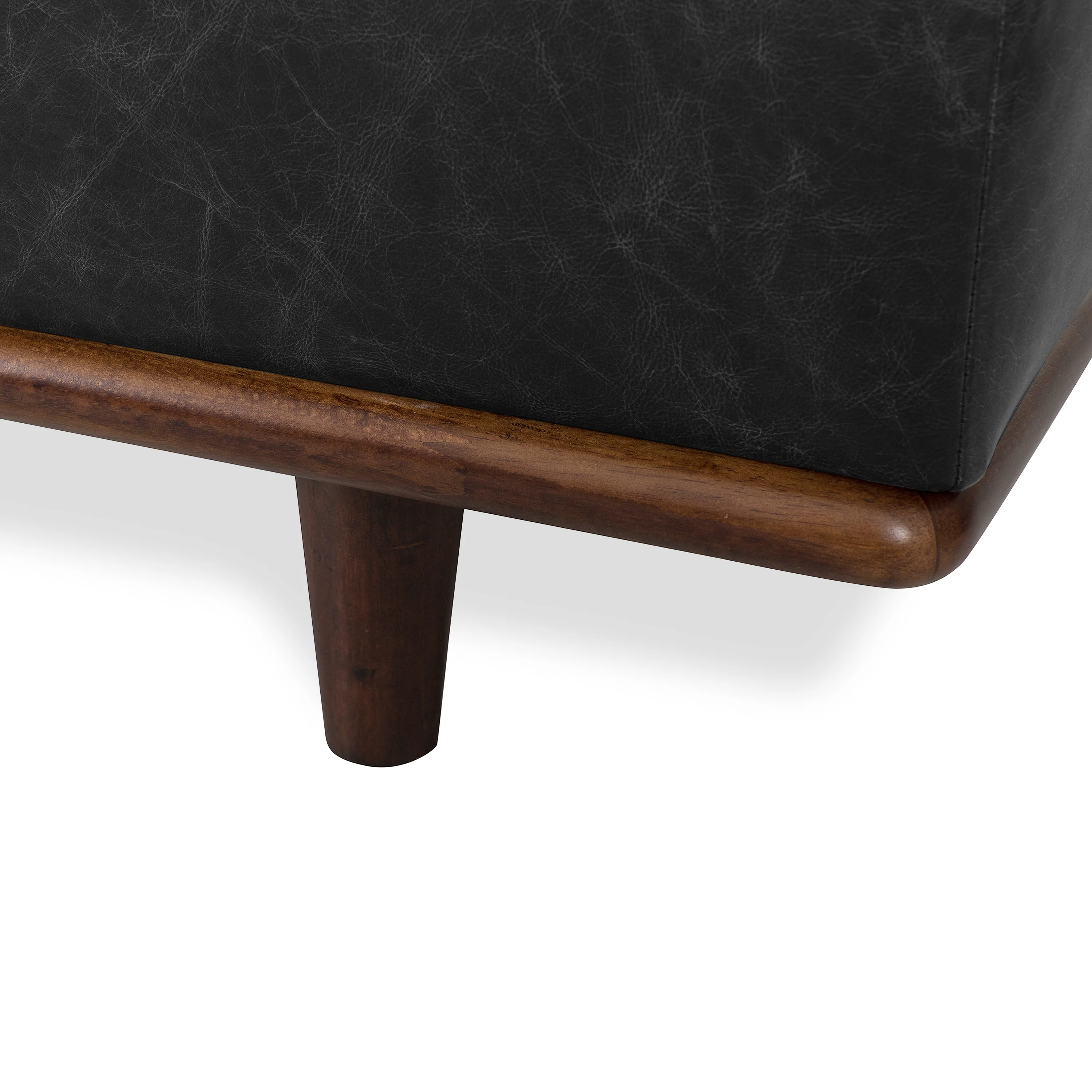 Jasper Leather Daybed | Onyx Black - Image 11